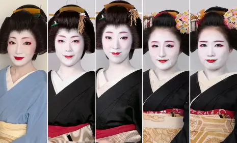 京都花街的名門“駒屋”舞妓、藝妓